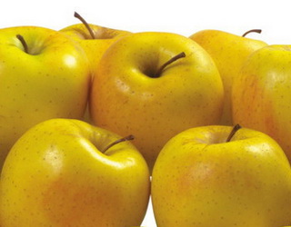«Гадз» експортуватиме до ЄС органічні яблука